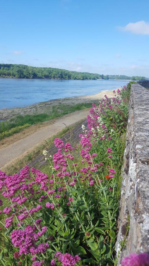 Le Cosy Loire Appart Apartman Les Rosiers Kültér fotó